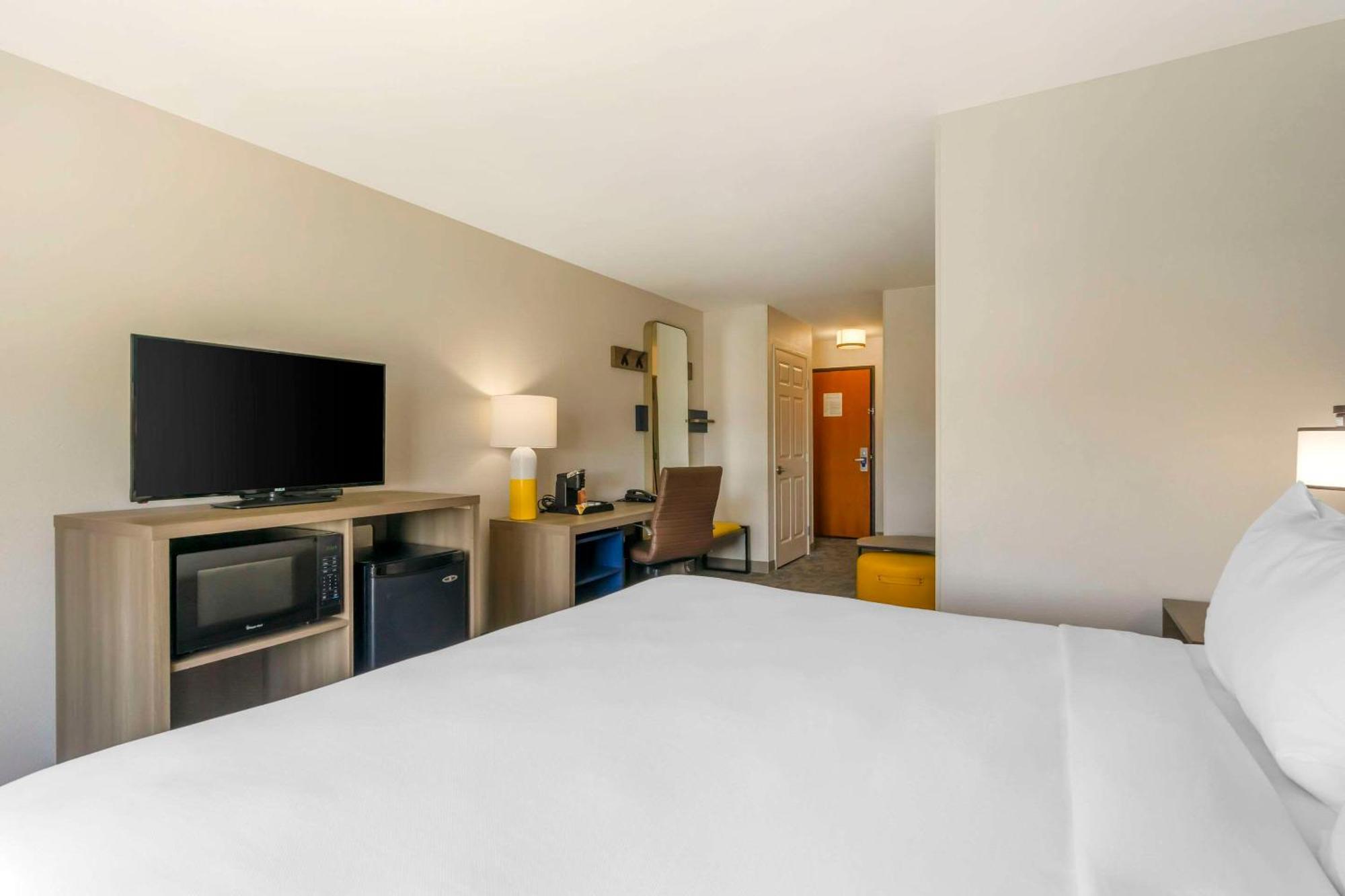 Comfort Suites Sarasota-Siesta Key Vamo Екстер'єр фото