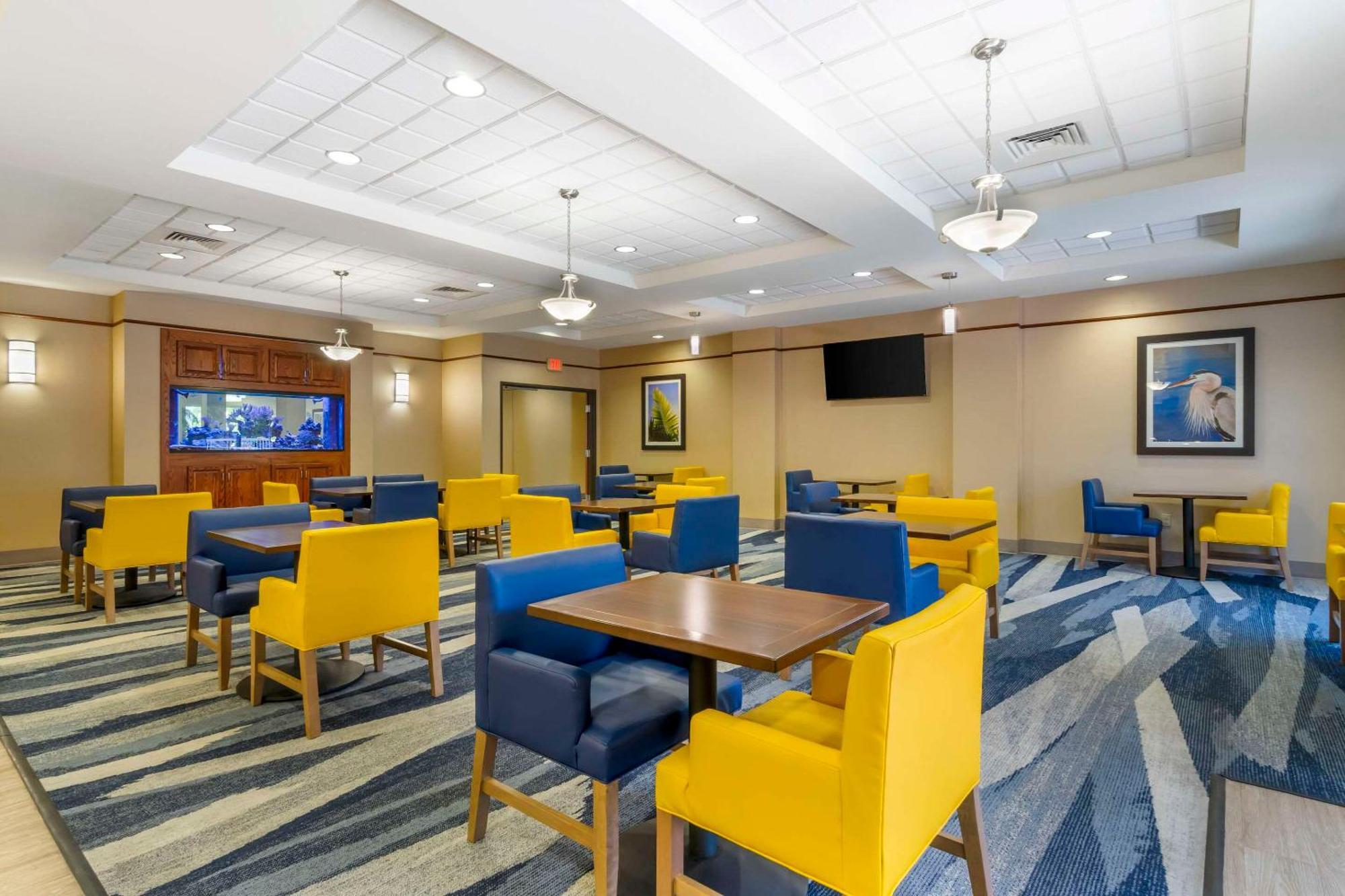 Comfort Suites Sarasota-Siesta Key Vamo Екстер'єр фото